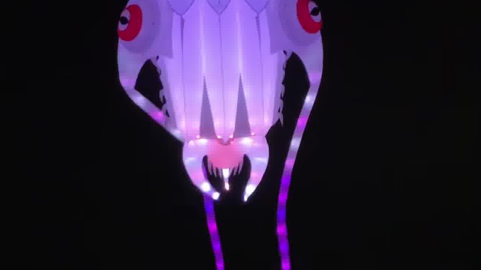 LED trilobite kite night fly Port Aransas
