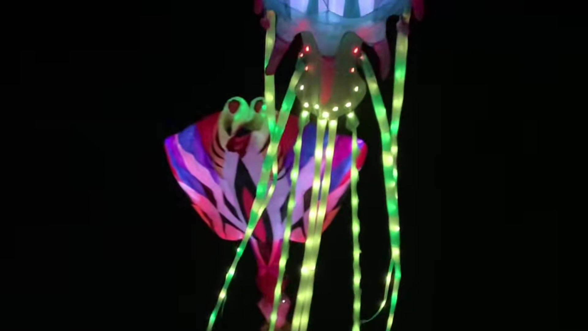 LED octopus kite night fly Port Aransas