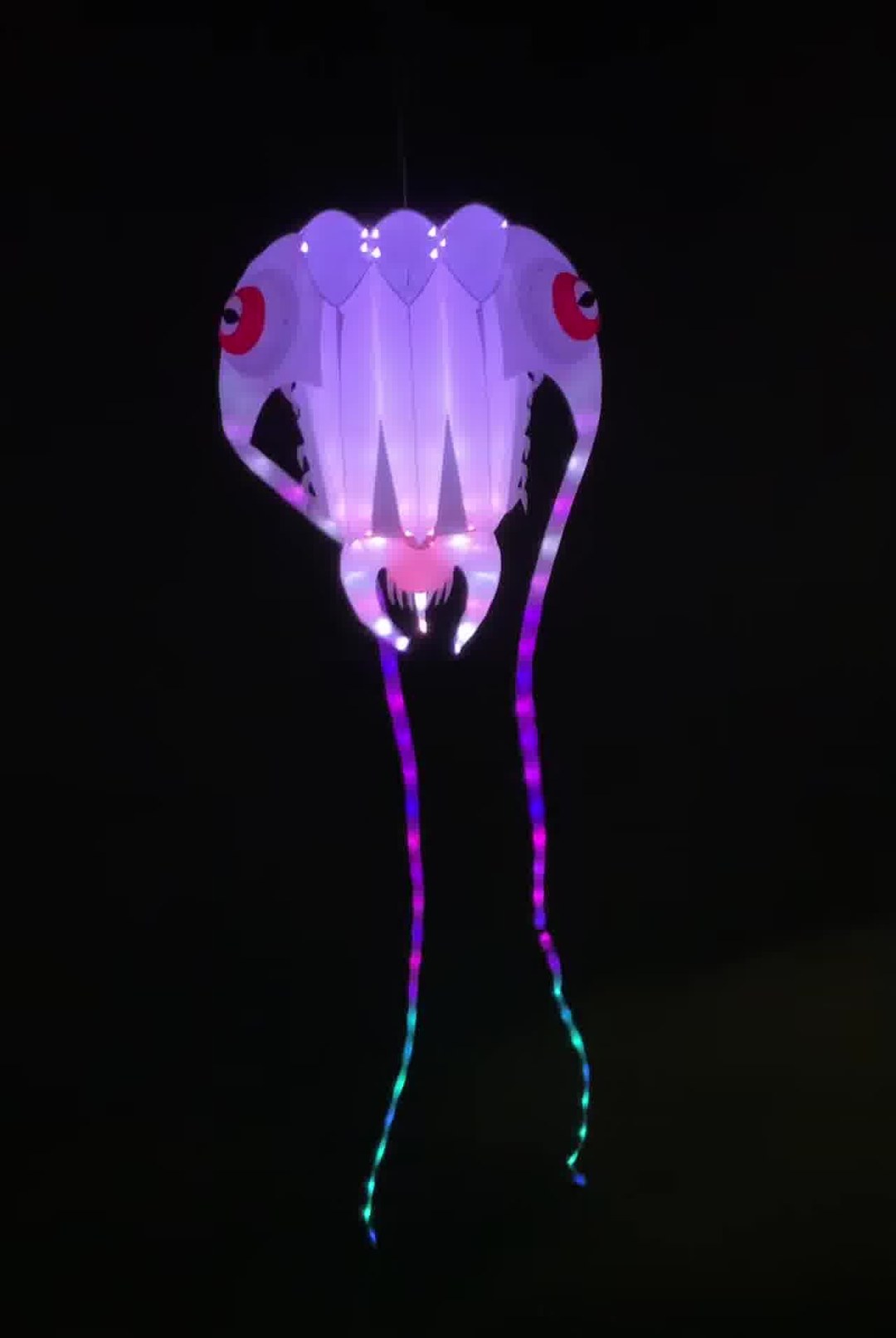 LED trilobite kite night fly Port Aransas